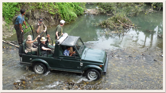 River-Crossing,-Manas-National-Park-,-April-2011