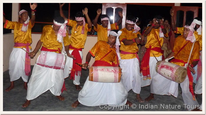 Traditional-Bihu-Dance,-Manas,-April-2011