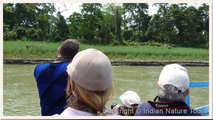 Wildlife-Viewing-on-Boat-Cruise-in-Brahmaputra,-April-2011