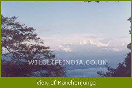 Kanchanjunga Hills