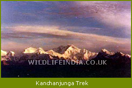 Trek of Khangchendzonga 