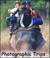 Photographic Trips, Wildlife Tour India, Indian Wildlife Tour  