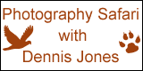 Photography Safari with Dennis Jones