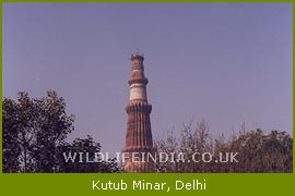 Kutub Minar, Delhi Tour & Travel
