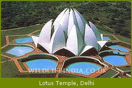 Lotus Temple, Delhi Tour & Travel