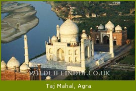 Taj Mahal, Agra Tour & Travel