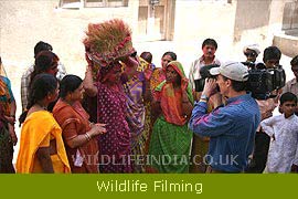 Wildlife Filming & Photographic Expeditions 