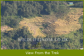 View from the Kanchanjunga Trek