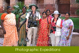 Wildlife Filming & Photographic Expeditions 