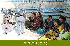 Wildlife Filming & Photographic Expeditions 