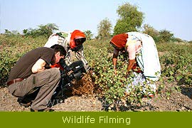 Wildlife Filming & Photographic Expeditions 