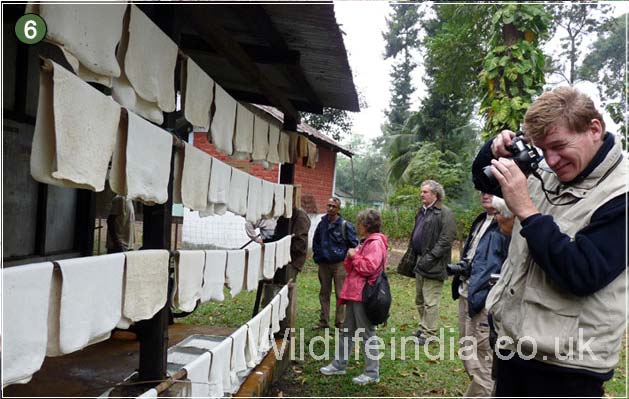 Kaziranga National Park