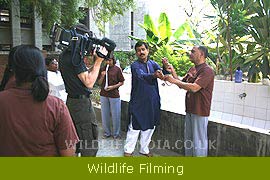 Wildlife Filming & Photographic Expeditions 