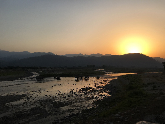 Kaziranga National Park